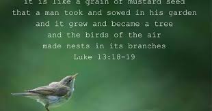 Look At The Birds Of The Air Niv Pin On Quotes From The Bible