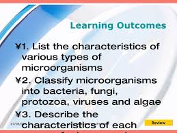 1 1 Classsification Of Microorganisms