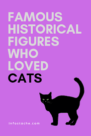 Felix the cat was created in the silent film era and quickly transfixed audiences. Famous People In History Who Loved Cats Famous People In History Famous Historical Figures Cat Infographic