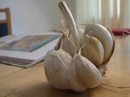 Bei nasenfurunkel wurde bisher über folgende medikamente berichtet Hausmittel Gegen Furunkel Uberblick Erfahrung Anwendung