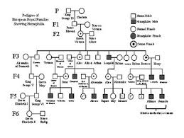 Key key key key key key. Hemophilia Worksheets Teaching Resources Teachers Pay Teachers