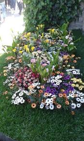 Arbusto dai piccoli fiori bianchi profumatissimi soluzioni questa pagina ti aiuterà a trovare tutte le risposte di codycross di tutti i livelli. Dal Latte Sgorgano Piccoli Fiori Bianchi Profumatissimi Picture Of Ricetto Di Candelo Candelo Tripadvisor