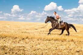 Then add in the person, reins and saddle so that everything is in proportion. A Quick Ride Through The History Of Horseback Riding Sports Aspire