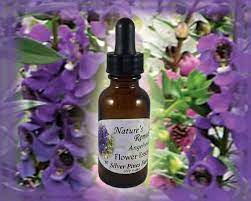 Angelonia Flower Essence Nature S Remedies Etsy Flower Essences Beauty Secrets Natural Beauty Skincare