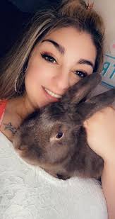 Cat rescued from edge of death finds forever home