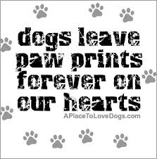9 paw print famous sayings, quotes and quotation. Paw Print Quotes Quotesgram