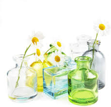 Shop wayfair for the best long stem glass flowers. Amazon Com Chive Loft Clear Glass Flower Vase Cute Beautiful Small Vases For Flowers House Plants Set Of 7 Assorted Shapes Colors Kitchen Dining