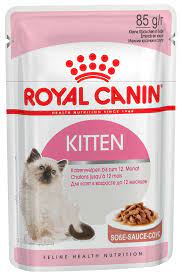 korm dlya kotyat v vozraste do 12 mesyacev royal canin kitten food animals feline health dog food recipes