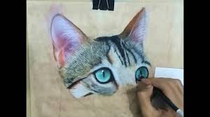 drawing cat with pastel pencils youtube drawings pastel pencils cats