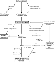 Strategy of conducting patients with portal hypertension syndrome against the background of cirrhosis (according to materials of baveno vi consensus, 2015). Acute Life Threatening Complications Of Portal Hypertension A Review Of Pathophysiology Incidence Management And Cost Springerlink