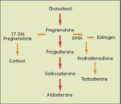 Hormone Treatments In Chronic And Intractable Pain Page 2