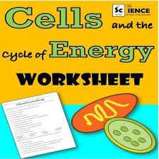 Cell Energy Worksheet For Review Or Assessment Of Photosynthesis And Respiration Energy Worksheets Photosynthesis