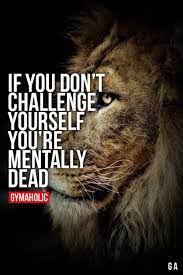 67 Motivational And Inspirational Quotes Youre Going To Love 16 Inspirational Quotes Motivation Lion Quotes Gym Quote