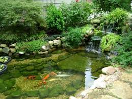 Koi Pond With Natural Stone Bottom Koi Pond Design Fish Pond Gardens Garden Pond Design