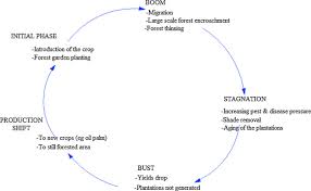 Malaysia ›› agriculture ›› beans ›› list of cocoa beans companies in malaysia. Modelling Boom And Bust Of Cocoa Production Systems In Malaysia Sciencedirect