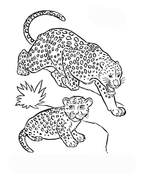 Ein weiteres bild von kostenlose ausmalbilder waldtiere: Ausmalbild Jaguar Tier Malvorlagen Tiere Jaguar Tier Ausmalbilder Tiere