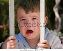 Little Boy Two Years Old Crying Stock Photo 371630446