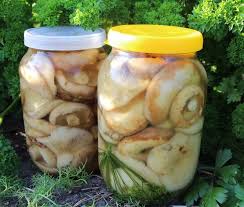 как солить грузди на зиму в банках простой рецепт Kak Solit Gruzdi Na Zimu Chtoby Poluchilis Vkusnymi Hrustyashimi I Aromatnymi V 2020 G Griby Recepty Marinovannye Griby