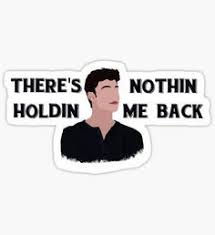 Shawn Mendes Stickers Shawn Mendes Shawn Songs