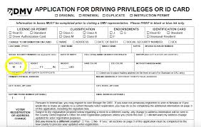 Dmv credit card authorization form. A Dmv Victory For The Trans Community What It Means What Comes Next Nevada Current