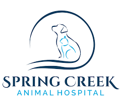 Our experienced veterinarians, vet technicians and support staff work closely together to provide the comprehensive, compassionate care your pet needs. Home Spring Creek Animal Hospital San Antonio Tx