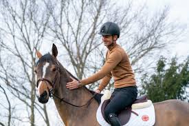 Steve guerdat is a swiss athlete and competes in jumping. Hermes Welcomes Steve Guerdat The World Number 1 Show Jumper To Its Team Of Partnered Riders The Plaid Horse Magazine