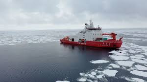 Image result for Polar Grey 1982 Fleet