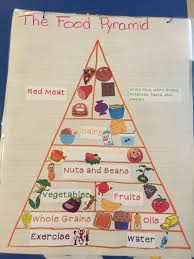 Food Pyramid Anchor Chart My Students Helped To Create This