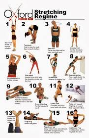 Losing Weight And Fitness Stretching Regime Insanity Workout Exercise Pre Workout Stretches