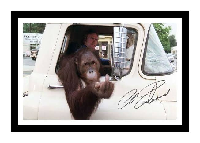 Clint Eastwood - Every Which Way but Loose Autographed Signed and Framed  Photo - Etsy