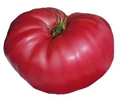We did not find results for: Tomato Better Boy Hybrid Seeds Sandia Seed Company