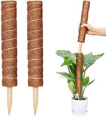 Hey crazy plant guys and gals, in this video we are going to do my very first diy for my plants. Amazon Com Ygaohf 31 4 Inch Moss Pole Monstera 2 Totem Moss Poles For Climbing Plants Coco Coir Moss Totem Poles Plant Stakes And Sticks Support Indoor Plants To Grow