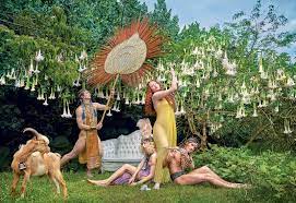 Between 1946 and 2001, the akc registered 42,280,840 dogs while increasing their breed count from 107 to 150. 2020 Lavazza Calendar