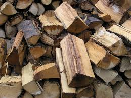 Free wood $0 (sdo > san diego) pic hide this posting restore restore this posting. Posts Tagged Walnut Twig Beetle Master Gardeners Of Shasta County