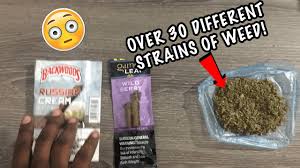 These blunts are a type of tobacco wrap that can be unrolled gutted and filled with weed. Effects Of Smoking Shakes In A Backwood And A Game Leaf Blunt Youtube