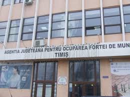 Orasul targu frumos are bugetul de venituri si cheltuieli pentru acest an. Ajofm Timis Arhive