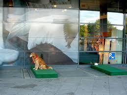 While Many Urban Areas In The United States Are Becoming More And More Dog Friendly We Ve Long Been Playing Catch Up To Much Of Eu Ikea Dog Dog Park Dog Crate