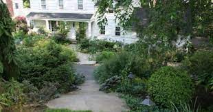 Five Ideas For The Downward Sloping Front Yard Garden