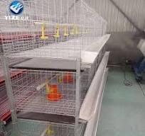 Jaula de pollo tipo H, jaula de pollo, jaula de elevación para mantener las  capas de pollo (Kenia, Indonesia, Zimbabue y Nigeria)