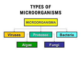 The stable and matured community is called a climax community. Biology Form 4 Chapter 8 Dynamic Ecosystem Part 5