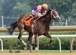 Porno missmiafit attractive female probably more aged than