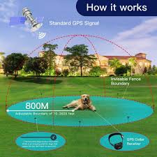 In addition to a wireless dog fence, you should also look into investing in electronic dog doors. 12 Best Wireless Invisible Dog Fences 2021 The Ultimate Guide