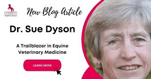 Dr Sue Dyson: A Trailblazer in Equine Veterinary Medicine