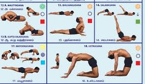 beginners yoga colour wall chart andiappan yoga basic