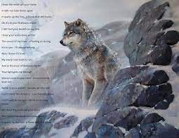 Wolf Poem Wolf Dog Wolf Life Wolf Poem