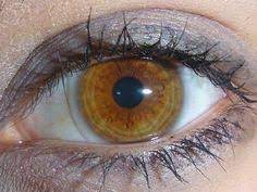 6 Rare And Unique Eye Colors Rare Eye Colors Amber Eyes Brown Eyes Aesthetic