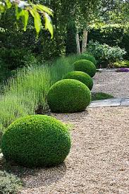 Rosemary Alexander S Garden Photographed By Clive Nichols Garden Inspiration Beautiful Gardens Outdoor Gardens