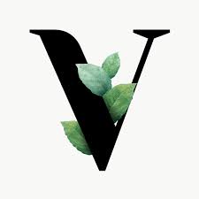 Botanical Capital Letter V Transparent Png Premium Image By Rawpixel Com Aum Letras Com Flores Aquarela Floral Murais De Parede
