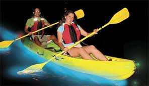 Bioluminescent Bay Puerto Rico Fajardo Bio Bay Kayak Excursions In Fajardo Puerto Rico Bioluminescent Bay Bioluminescent Bay Puerto Rico Puerto Rico Trip
