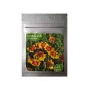 Maybe you would like to learn more about one of these? Jual Benih Bibit Tanaman Bunga Marigold Murah Lengkap Bibit Online